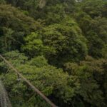 arenal-hangingbridges-raft-combo