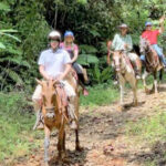 horsebackriding-manuel-antonio3