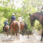 horsebackriding-manuel-antonio4